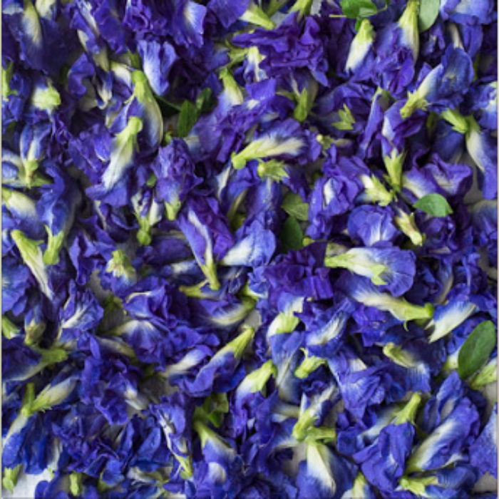 Butterfly Pea Flower - 1lb Bag
